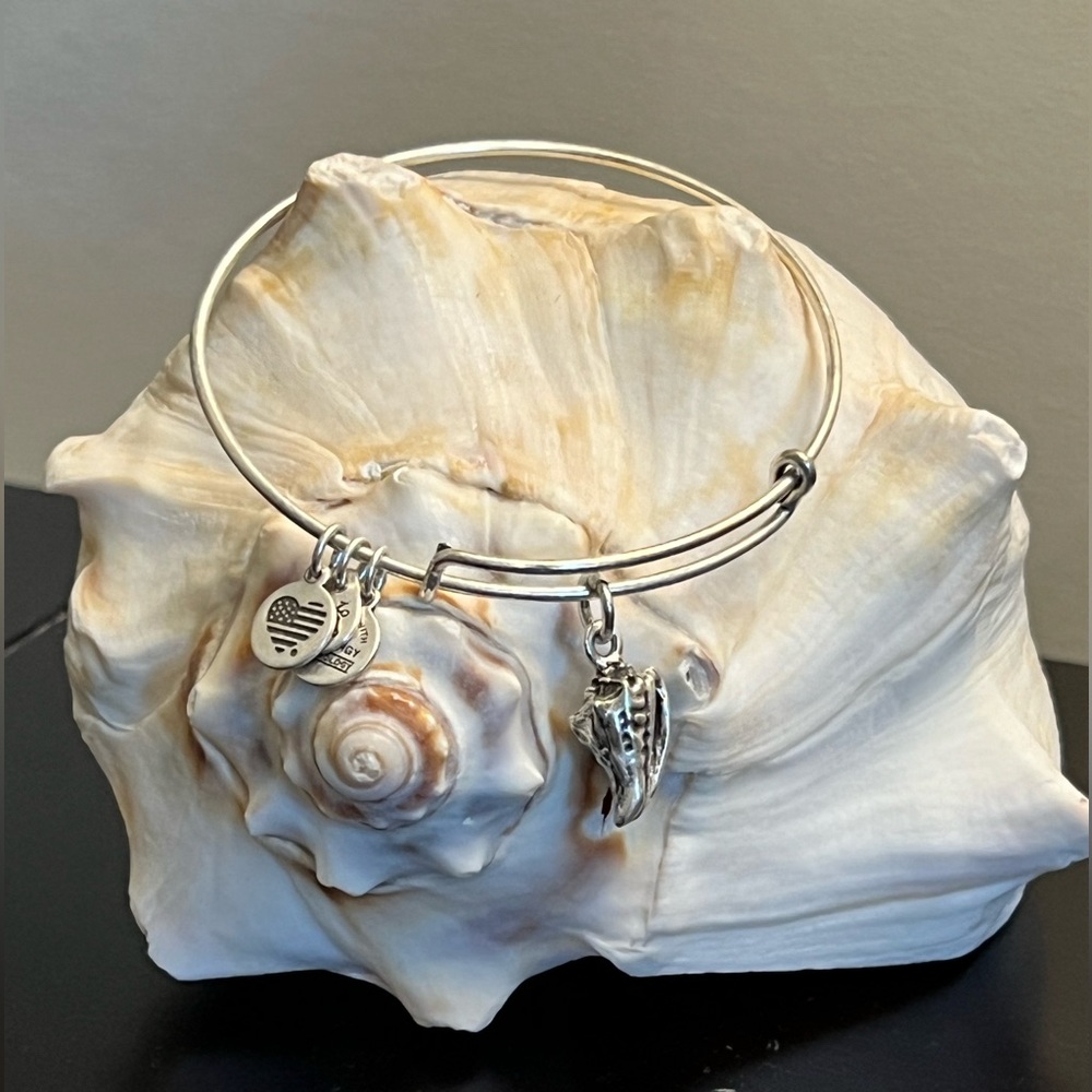 Lot of 5 Alex and Ani charm Bracelets.